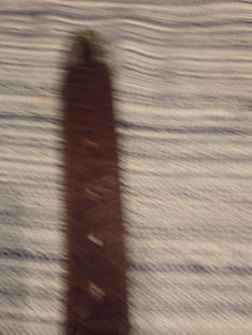 Womens Brighton Brown Croc-Accent Leather Belt with Silver Hardware